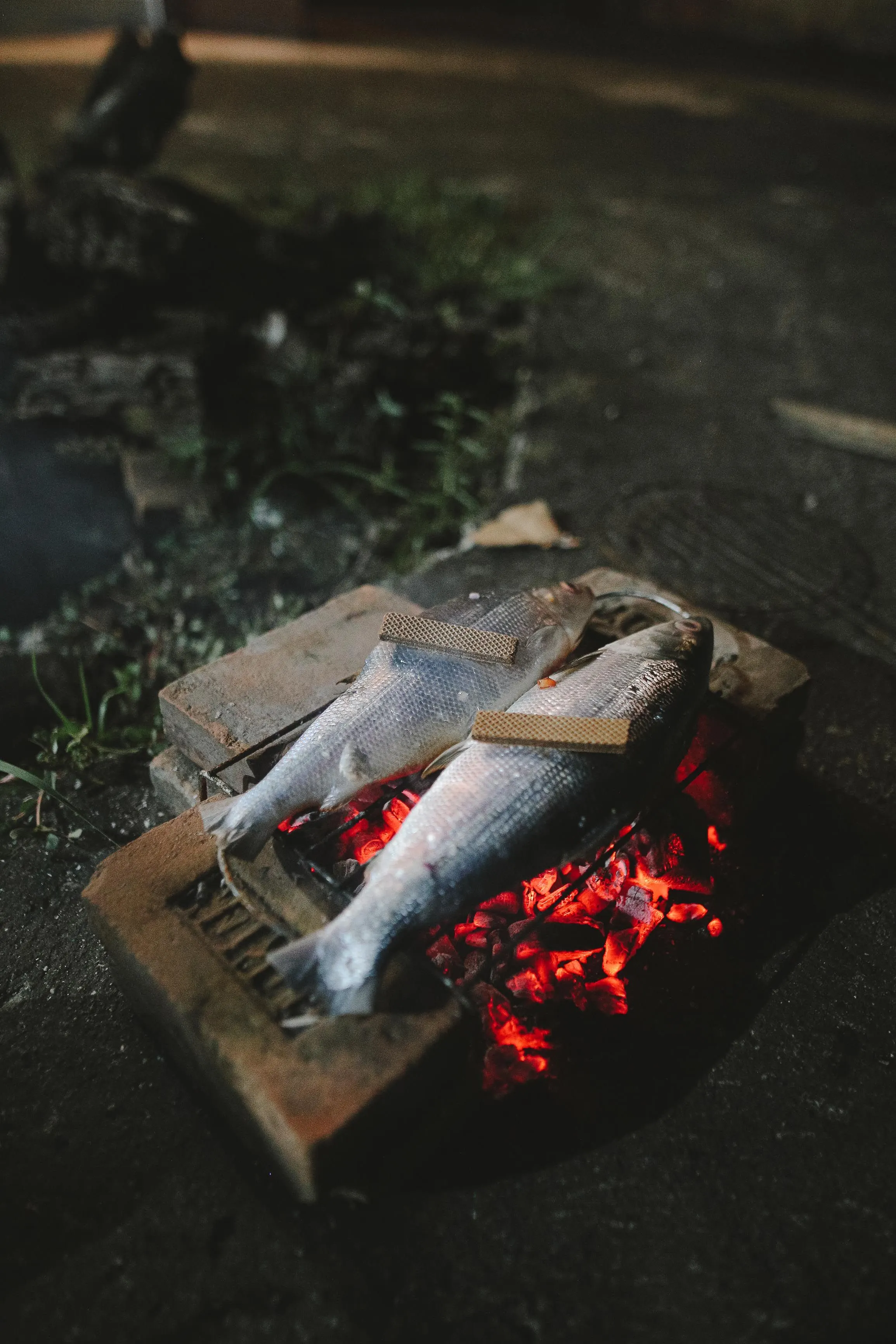 Pescado entero asándose sobre brasas de carbón