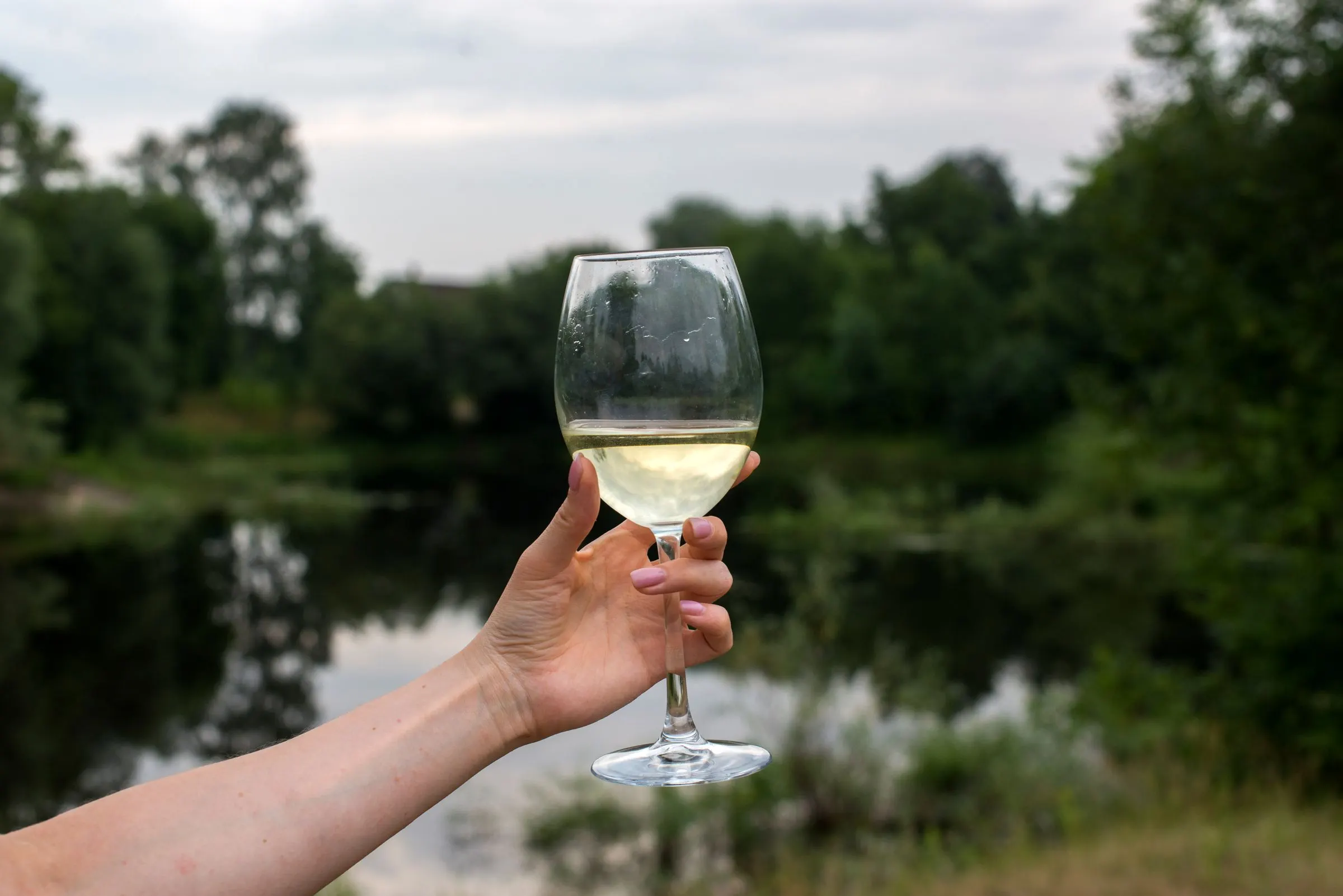 Copa de txakoli servida al aire libre con el paisaje verde de fondo